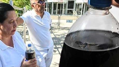 Yer: Ankara! Aldıkları kolanın içinden çıkan şoke etti: ‘Bu nasıl içinde olabilir?'