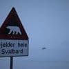Ermittlungen aufgenommen: Eisbär auf Spitzbergen in Norwegen erschossen