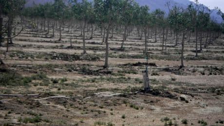 Arizona's rural groundwater deal stalls as legislative session nears end