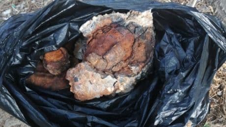 Una niña recoge una piedra, se va deshaciendo y después de un año hace un descubrimiento insólito