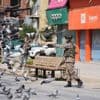 After days of heavy firefights, calm reported along Indian and Pakistan borders