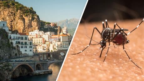 Muggenplaag in Italië: dit jaar al dertien doden door Westnijlvirus