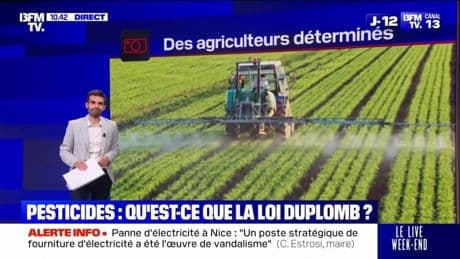 LES ÉCLAIREURS - Stockage de l'eau, pesticides, bâtiments agricoles... Que prévoit la loi Duplomb?