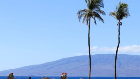 Saving Hawaii’s History From the Ashes, One Object at a Time