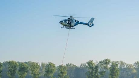 Feuerwehreinsatz: Feuerwehr weiter bei Waldbrand bei Erlangen im Einsatz