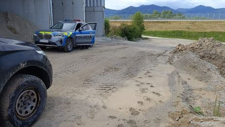 Nach Angriff auf einem Firmengelände - Jäger suchen Problem-Bärin mit Drohnen