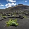 Nichts los auf Lanzarote?: In der Ruhe liegt der Krach