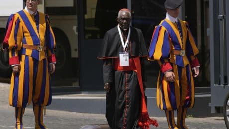 Conservative Catholics back Cardinal Sarah -- but African theologians aren't buying it