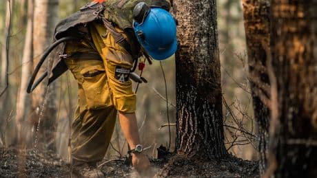 Wildfire prompts evacuation order in Athabasca County; Boyle put on alert