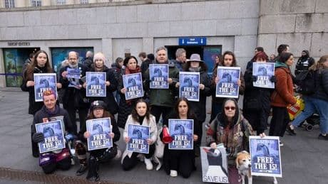 Minister hauls in aquarium boss over welfare of animals without fresh air