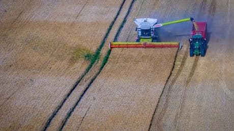 Getreideanbau: Gerstenernte trotz Trockenheit besser als erwartet