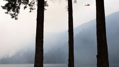 ‘A beast’: Wildfire on Vancouver Island challenging crews, some relief from rain