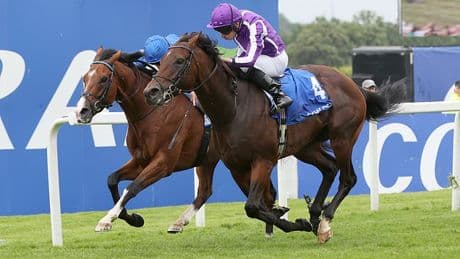 CALUM McCLURKIN: York has an International to truly savour but an uninspiring Oaks. It sums up Britain's curious position at the highest level