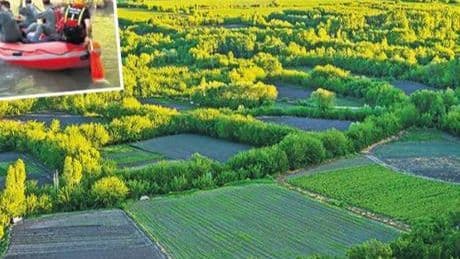 Dünya mirasına zehir ektiler! Hevsel Bahçeleri'ne 2 milyar TL’lik kenevir ekmişler
