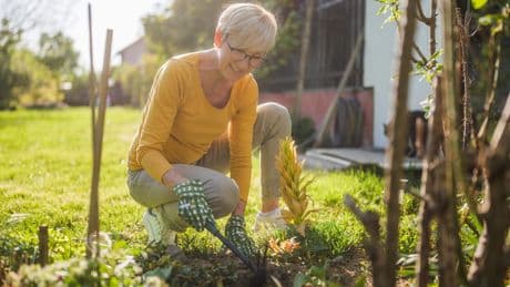 Hoe houd je onkruid uit je voegen en komen de zaden overgewaaid van je buren? Tuinman tipt hoe je onkruid onder controle krijgt