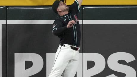 Overzealous Diamondbacks fan forces umpire review for fourth straight season