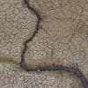 Natuurpunt waarschuwt dat droogte blijvende impact heeft, ook als het opnieuw gaat regenen