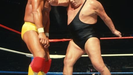 Outside the Wrestling Ring, Hulk Hogan Fought Rocky and Endorsed Trump