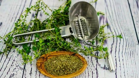 Kennen Sie es schon? Dieses unterschätzte Kraut hängt sogar Oregano ab