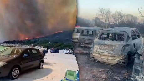 Italien: Sardinien-Touristen fliehen vor Waldbrand – Autos zerstört