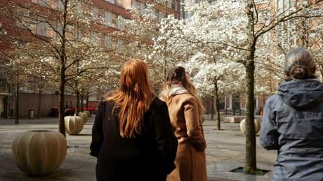 À l’hôpital Calmette de Lille, un traitement « flash » contre le stress post-traumatique