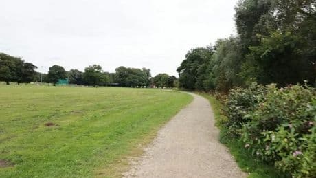 Woman killed by falling branch while walking through popular park with child