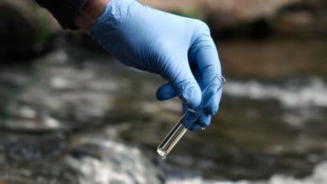 Kinderlähmung: Gefährliche Polioviren im Abwasser