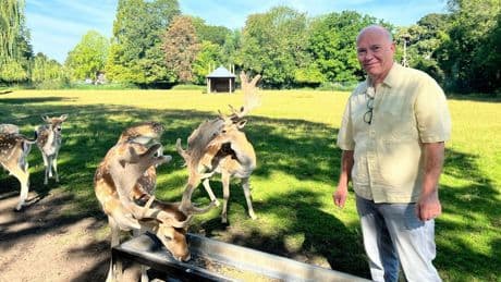 Herten vergiftigd in Utrechts park: 'Voer ze alsjeblieft niet'