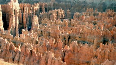 Two people dead but cat miraculously survives 380-ft fall at Utah national park