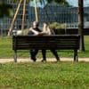 Psychologie: Häufig schwankende Zufriedenheit mit Beziehung ist üblich