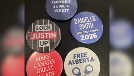 Spread of fake campaign pins 'disgusting,' says senior Tory