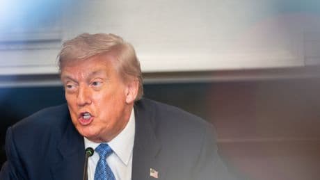 Trump Warns of Economic Disaster if Court Strikes Down Tariffs