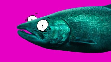 Are salmon sperm facials really good for your skin?