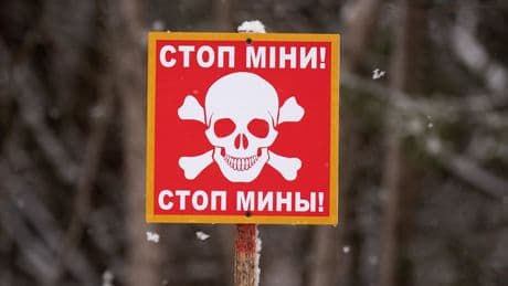 UK commitment to landmine ban ‘unwavering’ says minister as allies exit