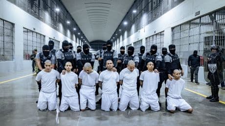 Venezuelans deported by Trump to brutal El Salvador prison are transferred to Caracas in exchange for Americans: reports