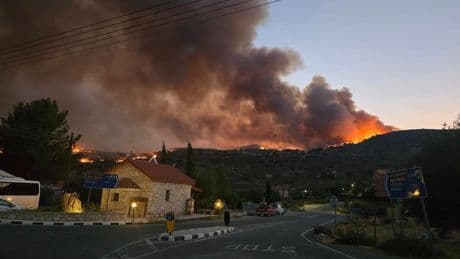 Güney Kıbrıs'ta orman yangını... Rum yönetimi "kırmızı alarm" verdi