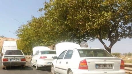 Sıcaktan 'ağızları' açık kaldı!