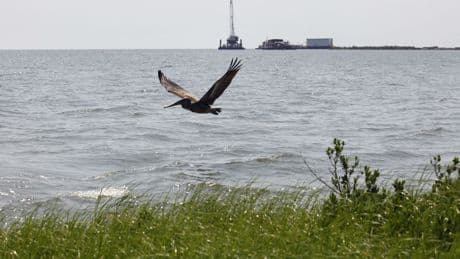 NTSB says company failed to shut down oil pipeline for nearly 13 hours after pressure dropped