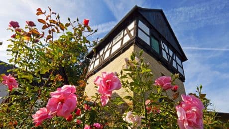 Ausflugstipp für Kölner: Assinghausen mit riesigem Garten und Fachwerk