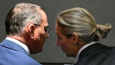 „Zu extrem für die Demokratie?“ – So kommentiert das Ausland die Debatte um ein AfD-Verbot