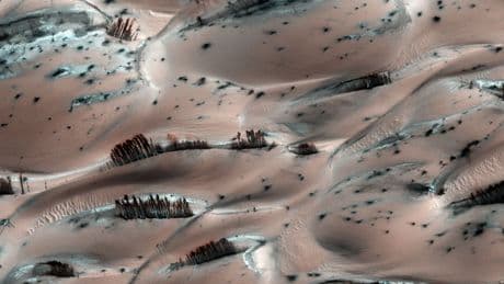 Remarkable Nasa photo shows eerie Mars landscape scattered with ‘TREES’ – and it’s not the only mystery in the sand