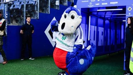 Trainer, Torjäger, Maskottchen – die Gehälter beim HSV