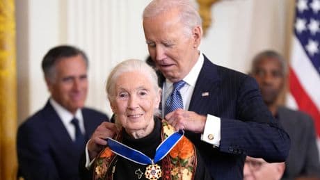 Trump’s aid cuts leave ‘critical’ Jane Goodall chimpanzee conservation project in crisis