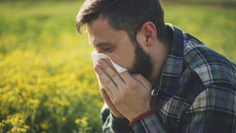 Hayfever alert issued over high pollen count as UK temperatures soar to 30C