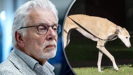 Jan Slagter zwengelt discussie aan door hond met liftfobie weg te doen: ’Signalen van angstig dier worden vaak gemist’