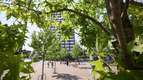 Hamburg meldet Fortschritte beim Erhalt von Stadtgrün – Opposition spricht von „Schönfärberei“