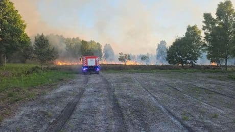 Natuurbrand in Belgisch nationaal park na paar uur onder controle