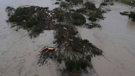 Traurige Gewissheit in Texas: Sommerlager meldet Tod der 27 vermissten Kinder und Betreuer