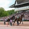 EN IMAGES. 10 000 personnes à l’hippodrome de Caen pour le Prix des Ducs de Normandie