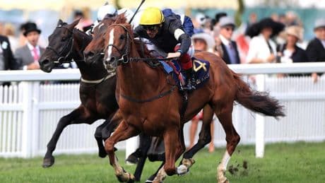 Today’s Horse Racing Results